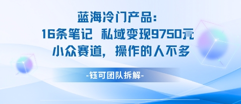 蓝海项目：16条笔记私域变现9750米小众赛道操作的人不多-学习笔记资源库