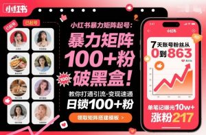 小红书暴力矩阵起号,教你打通引流-变现速通,日锁100+粉,破流量黑盒-学习笔记资源库