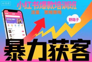 小红书爆款培训班，小红书获客野路子流量打法，暴力持续获客-学习笔记资源库