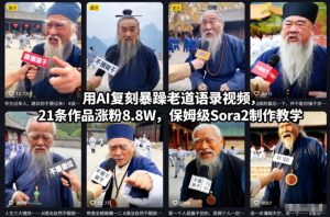用AI复刻暴躁老道语录视频,21条作品涨粉8.8W,保姆级Sora2制作教学-学习笔记资源库