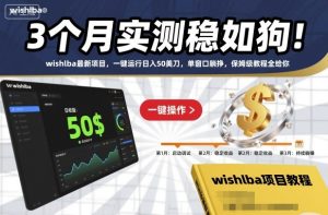 3个月实测稳如狗！wishlba最新项目，一键运行日入50美刀，单窗口躺挣，保姆级教程全给你【揭秘】-学习笔记资源库