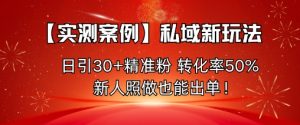 【实测案例】私域新玩法,日引30+精准粉,转化率50%,新人照做也能出单!-学习笔记资源库