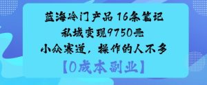 蓝海冷门产品：16条笔记私域变现9750米小众赛道，操作的人不多-学习笔记资源库