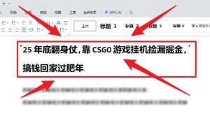 25年底翻身仗,靠CSGO游戏挂G捡漏掘金,搞钱回家过肥年【揭秘】-学习笔记资源库