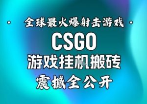【年底大揭秘】基于全球最火爆的射击CSGO游戏挂G搬砖,日入5张+,震撼公开-学习笔记资源库