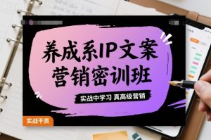 养成系IP文案营销密训班,实战中学习真高级营销-学习笔记资源库