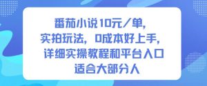 番茄小说10米每单,实拍玩法,0成本好上手,详细实操教程和平台入口适合大部分人-学习笔记资源库