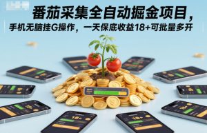 番茄采集全自动掘金项目，手机无脑挂G操作，一天保底收益18+可批量多开【揭秘】-学习笔记资源库