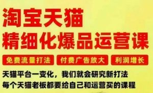 淘宝天猫精细化爆品运营课,免费流量打法-付费广告放大-利润增长-三大核心痛点,一次全部解决-学习笔记资源库