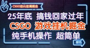 25年底搞钱回家过年,CSGO游戏挂G掘金,纯手机操作超简单【揭秘】-学习笔记资源库