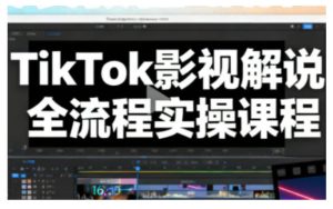 TikTok影视解说全流程实操,手把手教你打造TK爆款解说视频-学习笔记资源库
