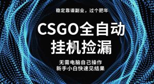 【稳定副业】全球最热门游戏CSGO全自动捡漏,最新玩法,新手小白日入5张+【揭秘】-学习笔记资源库