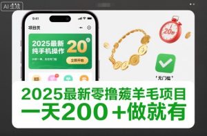 2025最新零撸薅羊毛项目，纯手机操作，20秒一单，无任何门槛，一天200+做就有【揭秘】-学习笔记资源库