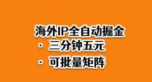 海外ip全自动掘金,2025必做蓝海项目,3分钟落地,矩阵直接开干【揭秘】-学习笔记资源库