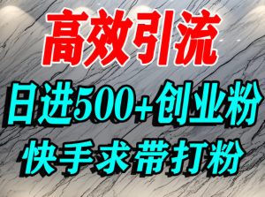 怎么打创业粉?快手求带视角精准引流创业粉,宝妈、学生群体日进500+精准流量-学习笔记资源库