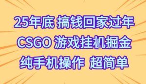 25年底搞钱回家过年,CSGO游戏挂G掘金,纯手机操作超简单【揭秘】-学习笔记资源库