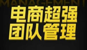 电商超强团队管理,组织绩效,到用人执行,分权合伙-学习笔记资源库