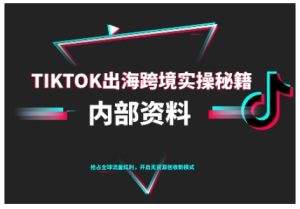 TikTok跨境电商0-1搭建运营,TK出海跨境实操秘籍(10月更新)-学习笔记资源库