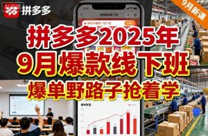 拼多多2025年9月爆款线下班,爆单野路子抢着学-学习笔记资源库