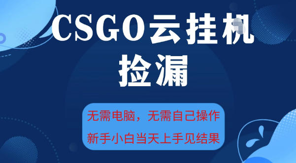 CSGO云挂G全自动捡漏，最新独家玩法，无需电脑操作，新手小白日入5张+【揭秘】-学习笔记资源库