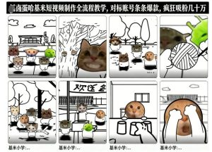 卤蛋哈基米短视频制作全流程教学,条条爆款,疯狂吸粉几十万-学习笔记资源库