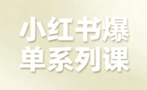 小红书爆单系列课,聚焦小红书电商全链路增长-学习笔记资源库