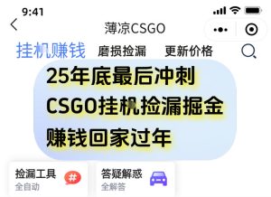 12月年底抓紧最后一个月,用CSGO游戏挂G捡漏掘金賺钱掘金,一部手机轻松日入5张+【揭秘】-学习笔记资源库