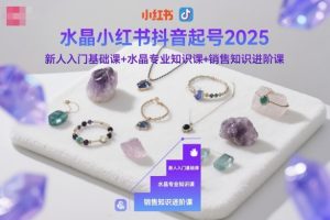 水晶小红书抖音起号2025,新人入门基础课+水晶专业知识课+销售知识进阶课-学习笔记资源库