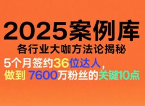 2025案例库,收录各行业大咖的方法论,各行业大咖方法论揭秘-学习笔记资源库