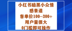 小红书暗黑小众情感赛道,客单价100-300+用户量很大,0门槛即可操作-学习笔记资源库