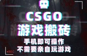 CSGO游戏挂G捡漏,单日扫货5张+,年底小高峰上车可吃肉,手机即可操作,兼职副业创业网创【揭秘】-学习笔记资源库
