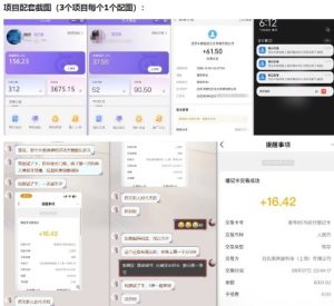 当天能收益的3个小项目拆解_包括平台+操作流程-学习笔记资源库