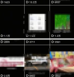 抖音引流创业粉教程,创业粉终于跑通了,私域是永远的王-学习笔记资源库